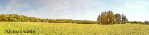 Gemähtes Heu mit Klee auf der Wiese im Sommer - Heuernte Panorama