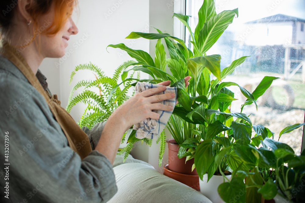 Obraz premium Beautiful young girl gardener is engaged in houseplants in the house. Home gardening, creating coziness and beauty, handwork, lifestyle.