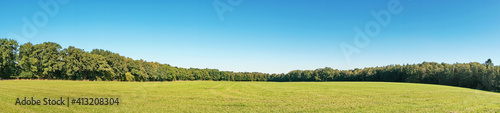 Weide im Sommer am Waldrand - Wiese mit B  ume Panorama