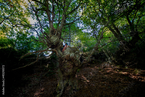 Monster Tree is tamed and ridden by a girl in the middle of a forest 