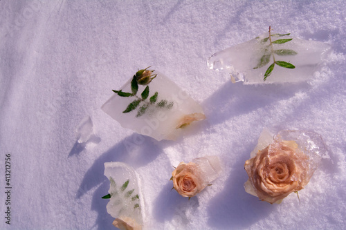 Natural roses and green twigs are surrounded by ice. The ice broke into pieces and lies in the snow. The concept of awakening, returning to life. Time of spring, warmth and thaw. Copy space