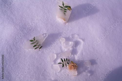 Natural roses and green twigs are surrounded by ice. Ice cubes lie in the snow. The concept of awakening, returning to life. Time of spring, warmth and thaw. Copy space