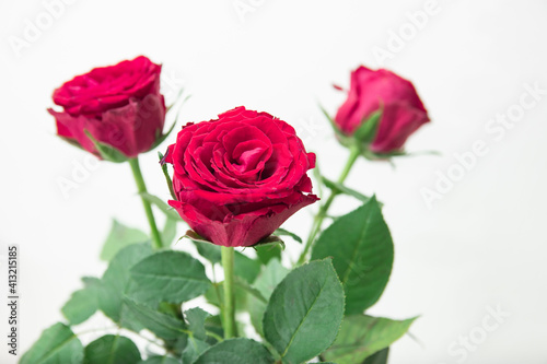 Bouquet of red roses in a glass bottle placed on a wooden table. Wedding decorations, Valentine's day, home decorations Or office. Doing export business of flowers. copy space