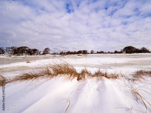 Winter in De Zilk, Netherlands photo