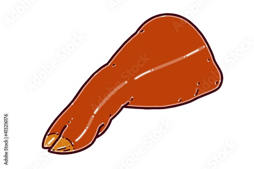 Jokbal. This is a Korean dish consisting of pig's trotters cooked with soy sauce and spices. Vector illustration.