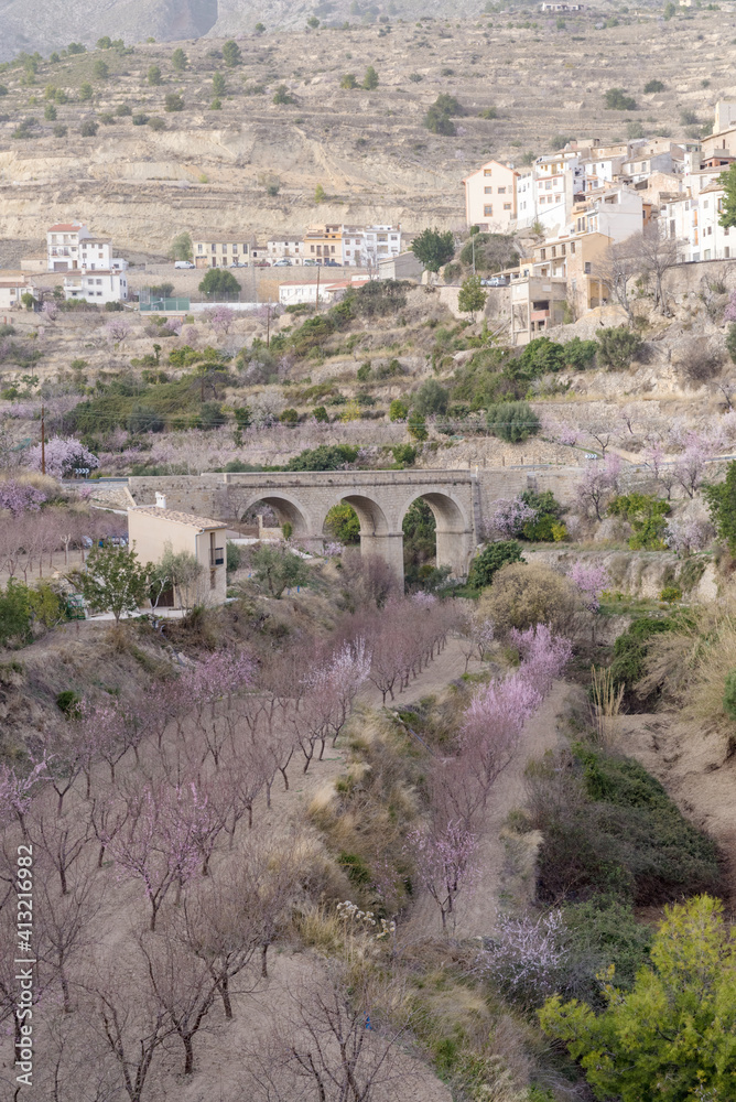 Fields of almond blossom in a small mountain village.