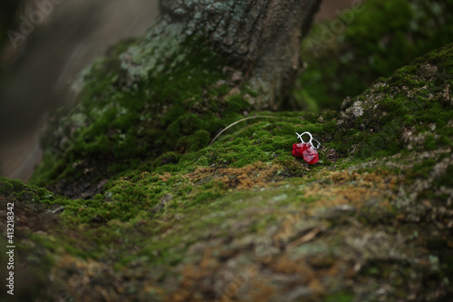 Red earrings on green moss