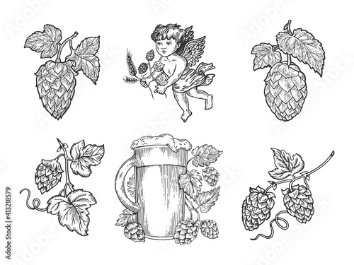 Beer hops set sketch engraving vector illustration. T-shirt apparel print design. Scratch board imitation. Black and white hand drawn image.