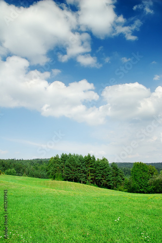 Fototapeta Naklejka Na Ścianę i Meble -  Idyllic landscape, view of green fields and blue sky