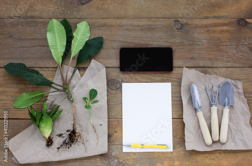 Gardening tools and smartphone on wooden background. Concept of Online gardening or florist course, consultation and blog. Flatly, copy text, top view.  Spring theme, gardening at home, hobby