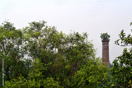 Abandoned Tower in the Forest