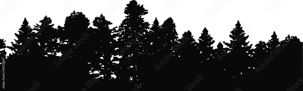 Obraz premium Forest silhouette in black on a white background, different trees. Graphic element, vector EPS 10. No people, commercial use.