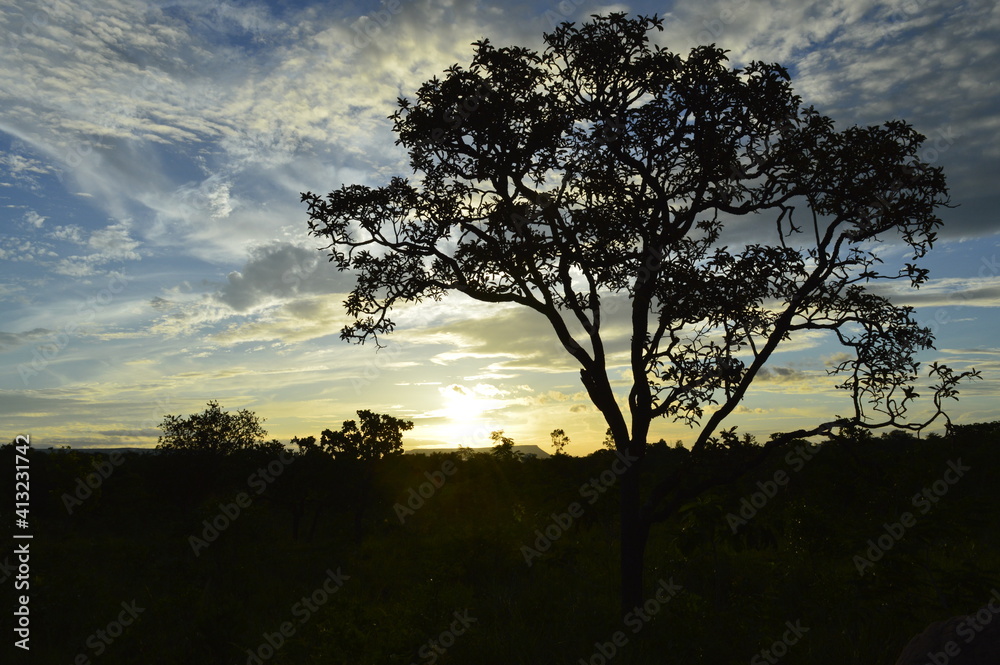 Sunset of Jalapão (Tocantins - Brasil)