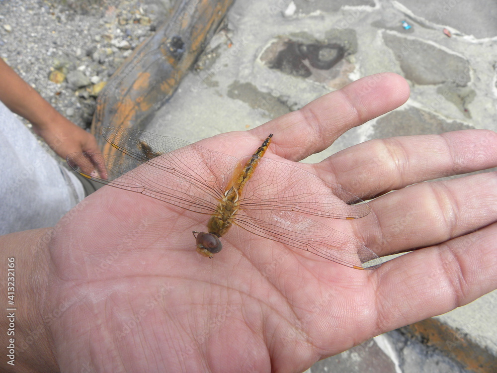 Obraz premium Travel in Indonesia