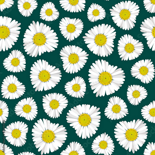 Seamless pattern with detailed vector illustrations of heart shaped daisy blooms randomly arranged on a dark green background.