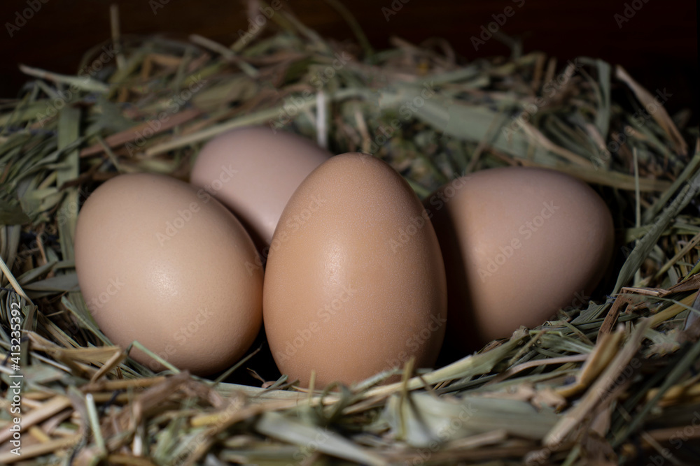 Easter basket with eggs. eggs in a straw nest Easter basket with eggs. eggs in a straw nest