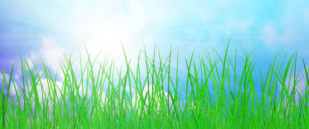 Obraz premium gras wiese natur sonne himmel banner