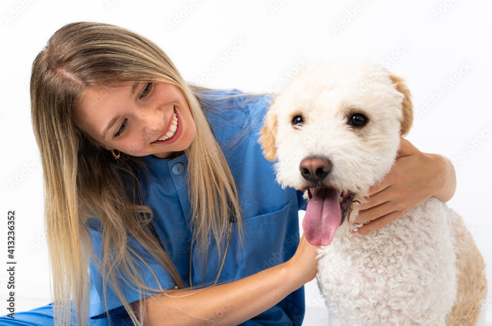 Young veterinarian woman with dog sitting on the floor Young veterinarian woman with dog sitting on the floor