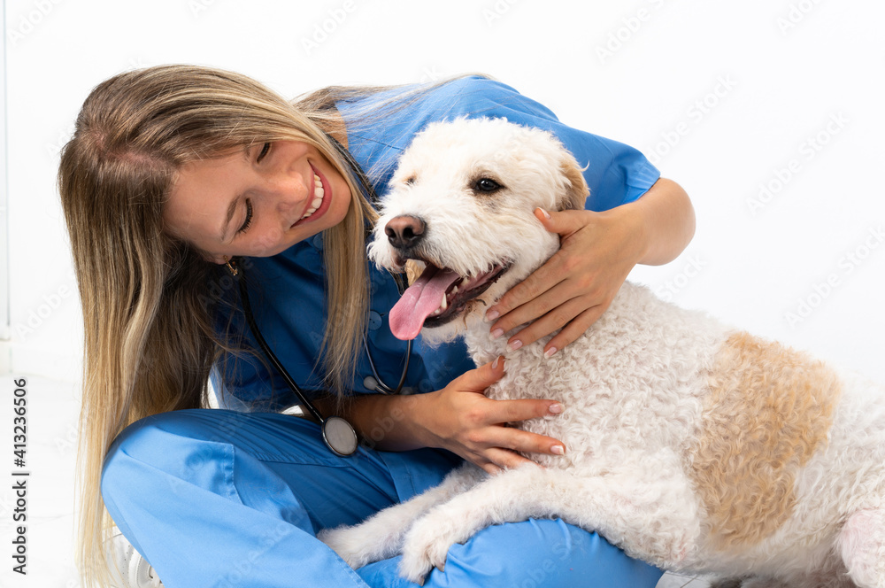 Young veterinarian woman with dog sitting on the floor Young veterinarian woman with dog sitting on the floor