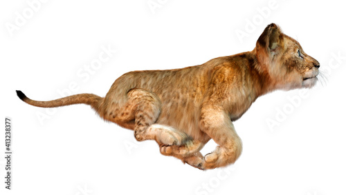 3D Rendering Lion Cub on White