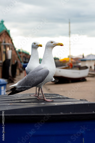 brighton_05