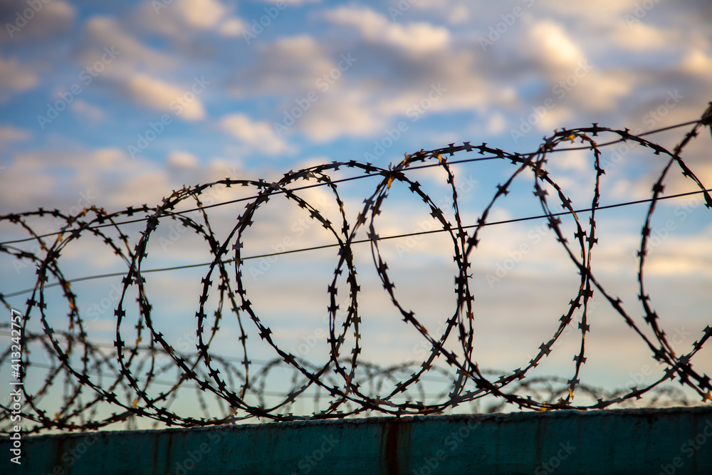 Barbed wire on the fence in the early morning. Background Barbed wire on the fence in the early morning. Background