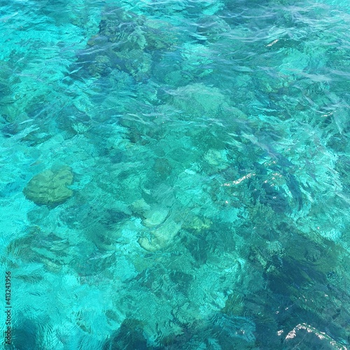 coral reef in the blue water