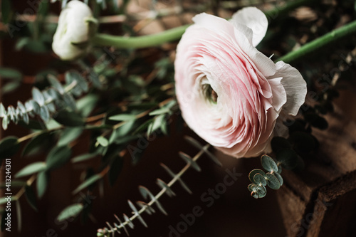 rosa Ranunkel liegt auf verschiedenen grünen Zweigen wie Eukalyptus - Pflanzen, Blumen, dekorieren, Frühling, schön