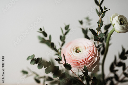 Rosa Ranunkel mit Eukalyptuszweigen als dekoratives Blumenarrangement für den Frühling zur Dekoration