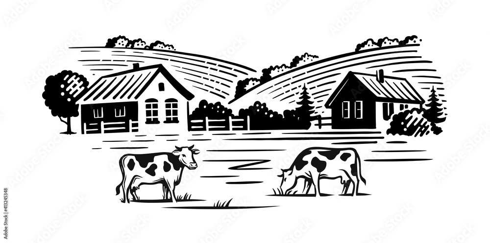 cows chewing grass on background of farm
