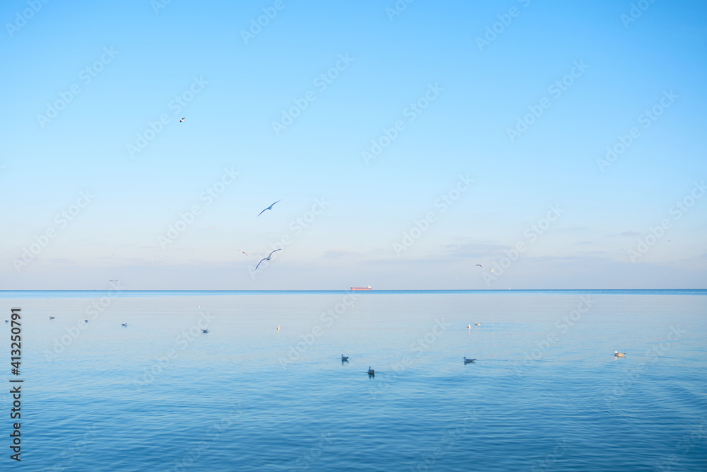Bright beautiful seascape with ship and seagulls