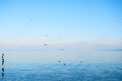 Bright beautiful seascape with ship and seagulls