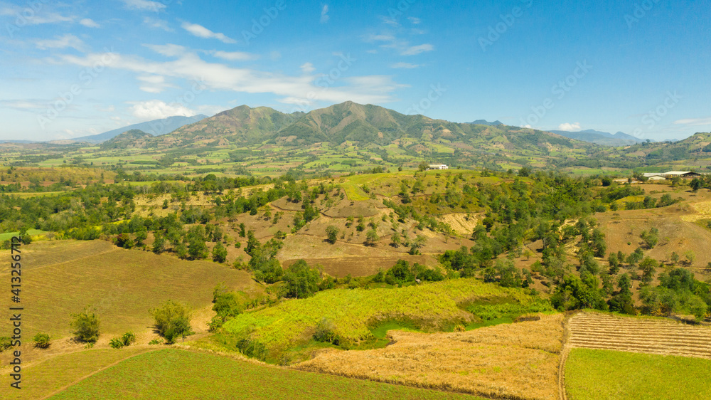 Fototapeta premium Aerial view of Agricultural landscape with farmland. Mountain landscape with green hills and farmland. Mindanao, Philippines.