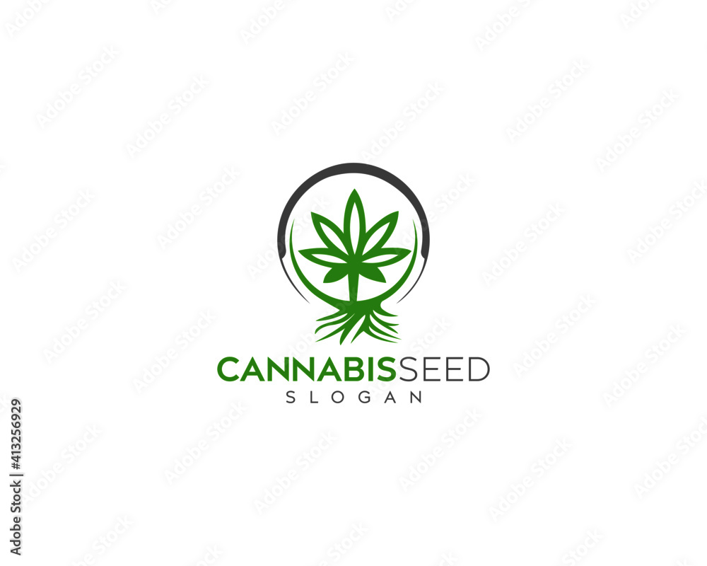Fresh cannabis seeds vector logo design