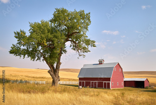 Red Barn Tree and Sunshine. A bright red barn on a hill in the sunshine. Washington State, USA.

 photo