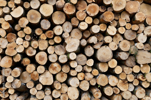 Stock de bois de chauffage