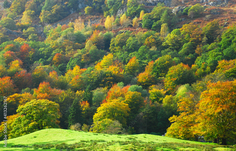 Obraz premium Autumn Colours, The Lake District