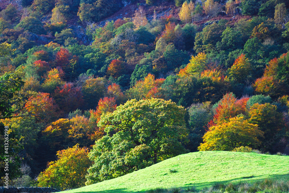 Autumn Colours, The Lake District Autumn Colours, The Lake District