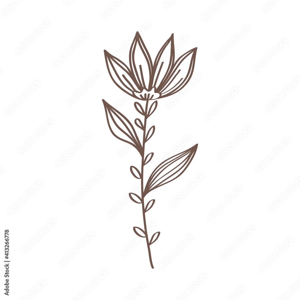 spring flower and leafs hand drawn icon vector illustration design