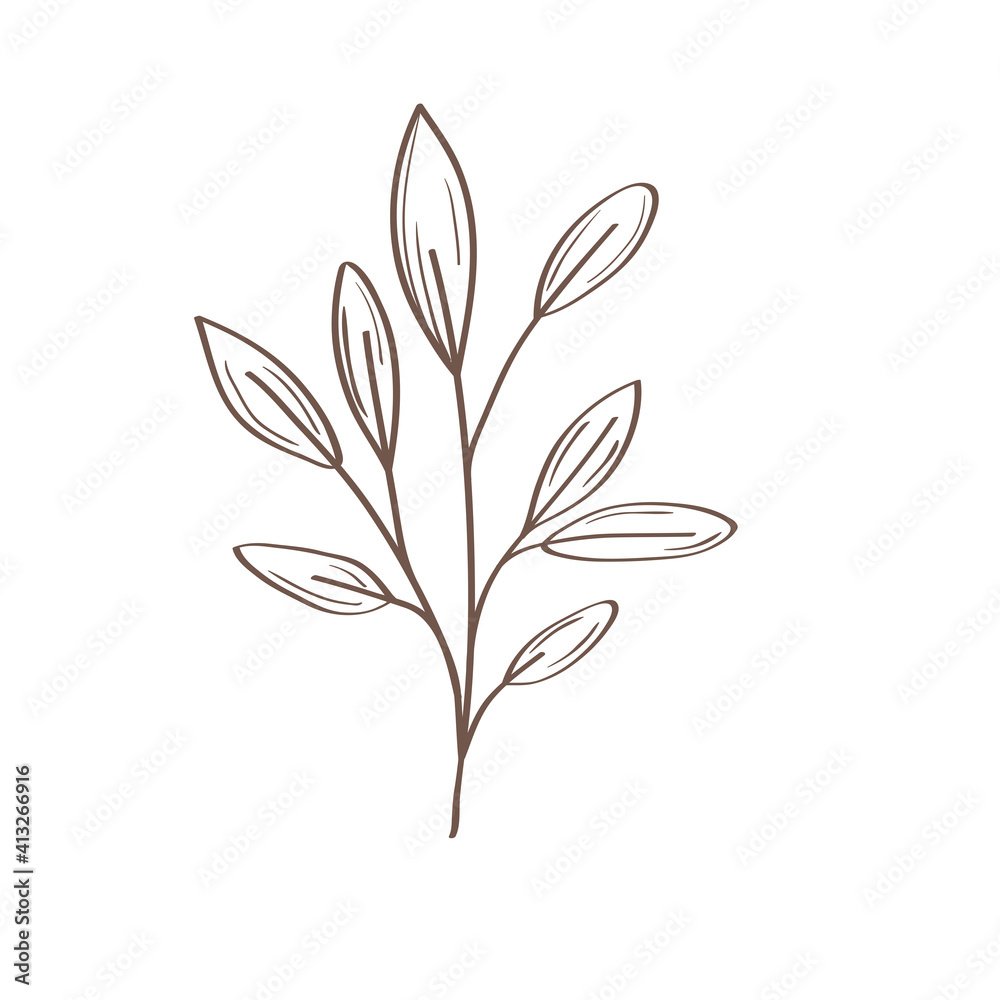 leafs plant hand drawn style icon vector illustration design