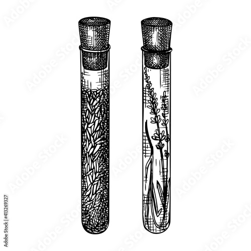 Vector collection of glass tubes with flower illustrations. Vintage hand-sketched perfumery and cosmetics production ingredients. 