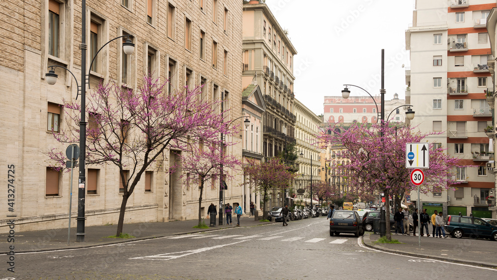 Fototapeta premium Pedestrians walking on the street with flowering trees