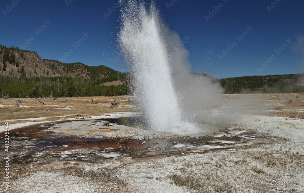 Jewel Geyser erupting along Biscuit Basin Loop Trail (Continental Divide Trail) in Biscuit Basin at Yellowstone National Park, Wyoming Jewel Geyser erupting along Biscuit Basin Loop Trail (Continental Divide Trail) in Biscuit Basin at Yellowstone National Park, Wyoming