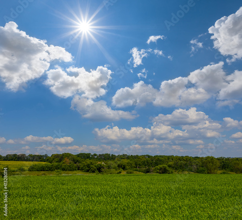 beautiful green rural fields at the bright summer sunny day, agricultural countryside scene