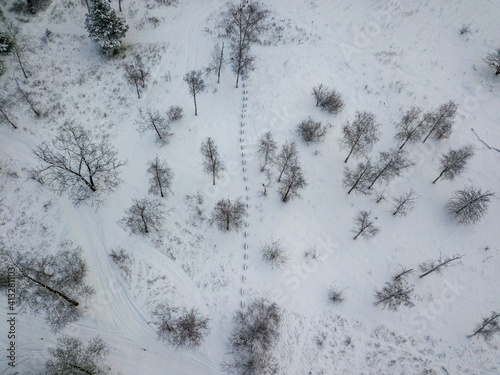 The road in the snowy forest. Aerial drone view. Cloudy winter day.