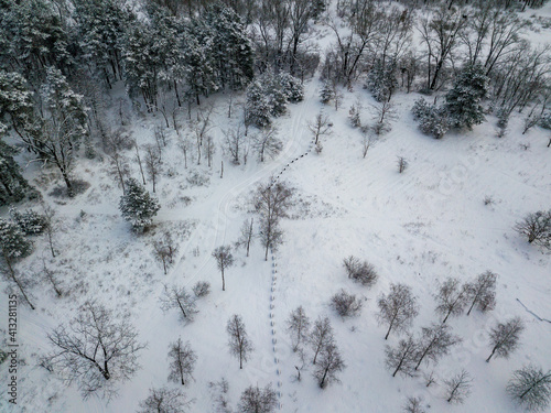 The road in the snowy forest. Aerial drone view. Cloudy winter day.