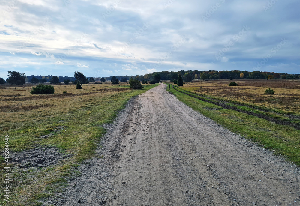 wundervolle Ansichten der Lüneburger Heide