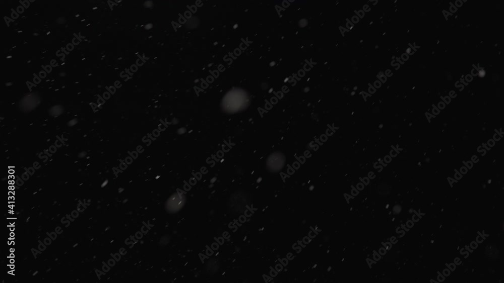 Real snowfall, winter snow with wind influence on black background. Abstract white dust particles. Perfect for composite or transparency Real snowfall, winter snow with wind influence on black background. Abstract white dust particles. Perfect for composite or transparency