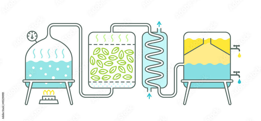 Distillation process. Essential oil making. Distillations aromatic oils production. Perfumery substances. Distiller equipment. Vector illustration infographic.