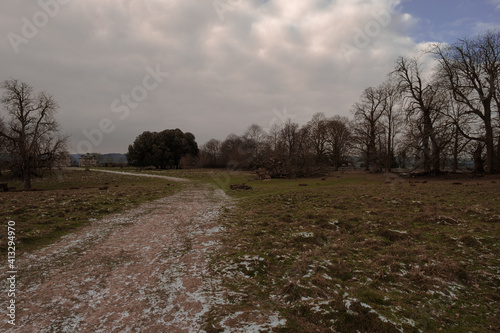 Petworth Park in West Sussex, a great place to visist. photo